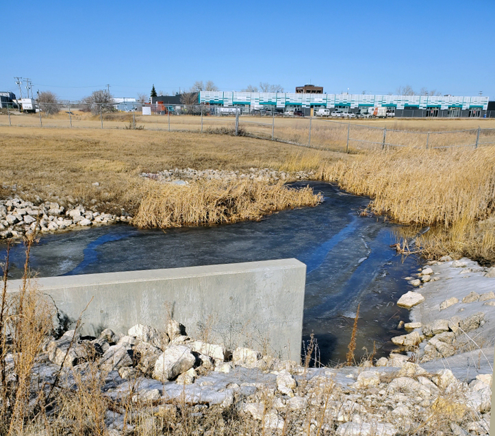 A tributary flowing through the airport campus